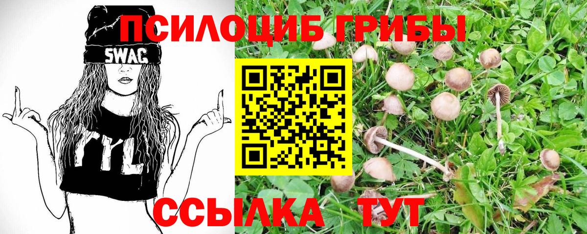 Псилоцибиновые грибы MAGIC MUSHROOMS Камень-на-Оби